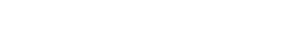 Rebel Interactive Group