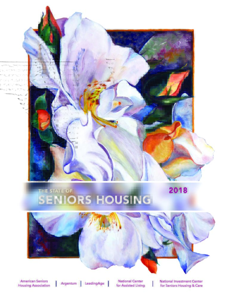 The State of Seniors Housing 2018